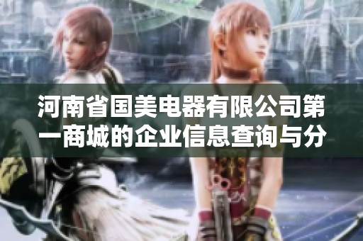河南省国美电器有限公司第一商城的企业信息查询与分析报告
