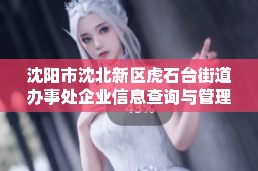 沈阳市沈北新区虎石台街道办事处企业信息查询与管理平台介绍