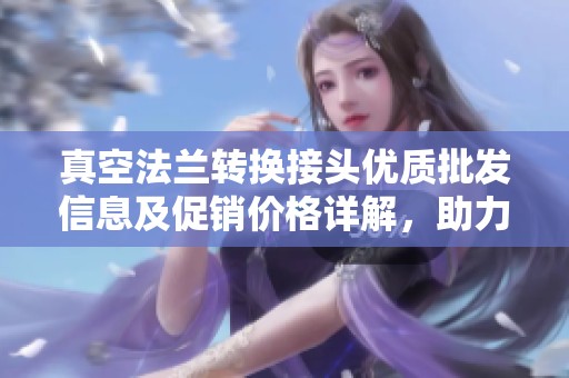 真空法兰转换接头优质批发信息及促销价格详解，助力您的采购决策