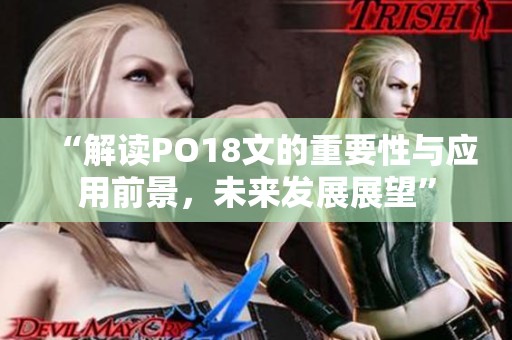 “解读PO18文的重要性与应用前景，未来发展展望”