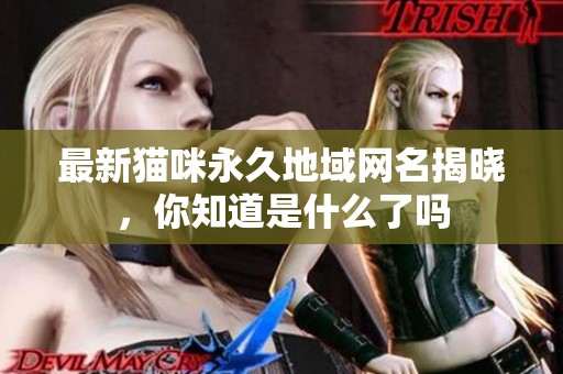 最新猫咪永久地域网名揭晓，你知道是什么了吗