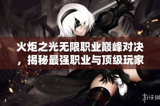 火炬之光无限职业巅峰对决，揭秘最强职业与顶级玩家的完美装备选择策略