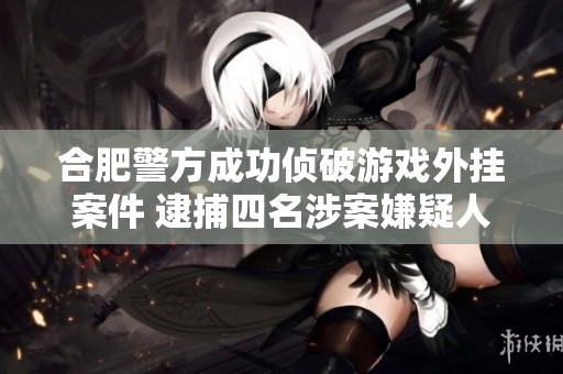 合肥警方成功侦破游戏外挂案件 逮捕四名涉案嫌疑人维护公正游戏环境