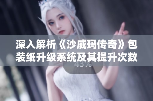 深入解析《沙威玛传奇》包装纸升级系统及其提升次数详细信息