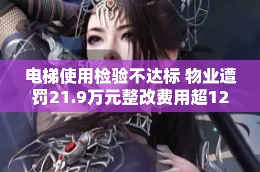 电梯使用检验不达标 物业遭罚21.9万元整改费用超120万元