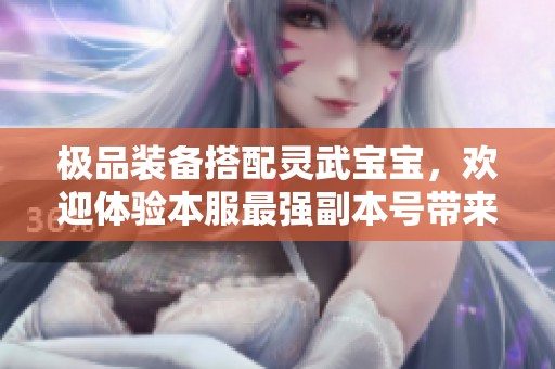 极品装备搭配灵武宝宝，欢迎体验本服最强副本号带来的非凡冒险之旅！