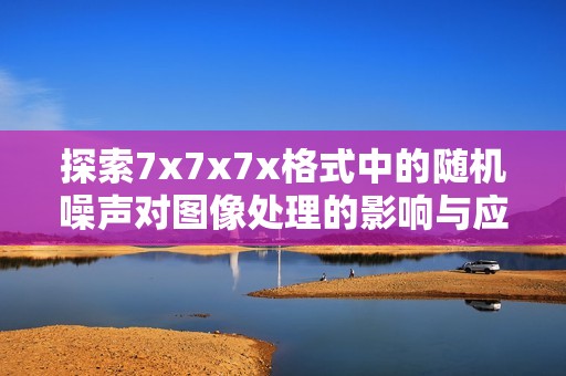 探索7x7x7x格式中的随机噪声对图像处理的影响与应用