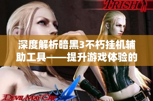 深度解析暗黑3不朽挂机辅助工具——提升游戏体验的秘密武器与使用技巧