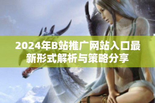 2024年B站推广网站入口最新形式解析与策略分享
