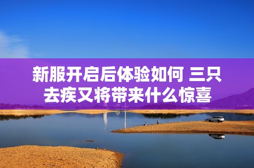 新服开启后体验如何 三只去疾又将带来什么惊喜