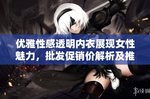 优雅性感透明内衣展现女性魅力，批发促销价解析及推荐