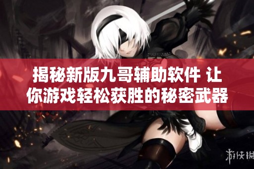揭秘新版九哥辅助软件 让你游戏轻松获胜的秘密武器