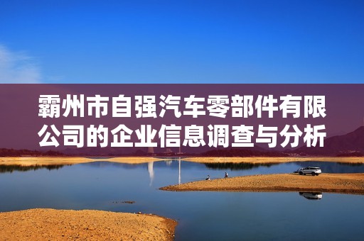 霸州市自强汽车零部件有限公司的企业信息调查与分析报告