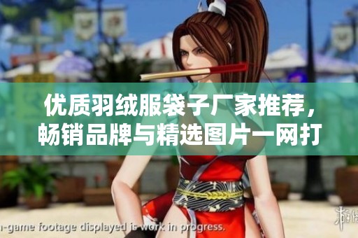 优质羽绒服袋子厂家推荐，畅销品牌与精选图片一网打尽
