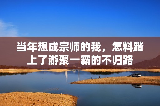 当年想成宗师的我，怎料踏上了游聚一霸的不归路