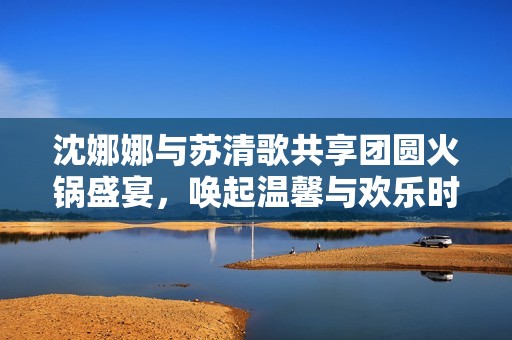沈娜娜与苏清歌共享团圆火锅盛宴，唤起温馨与欢乐时光