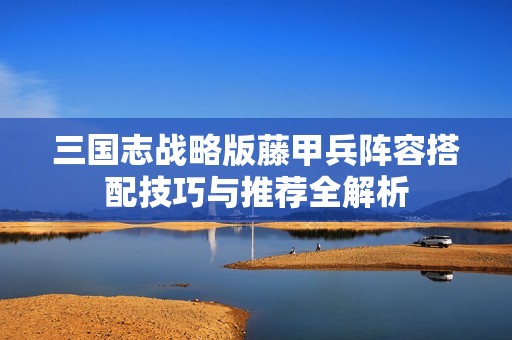 三国志战略版藤甲兵阵容搭配技巧与推荐全解析