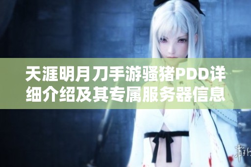 天涯明月刀手游骚猪PDD详细介绍及其专属服务器信息分享