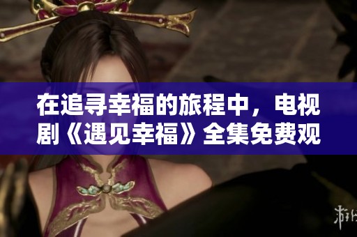 在追寻幸福的旅程中，电视剧《遇见幸福》全集免费观看