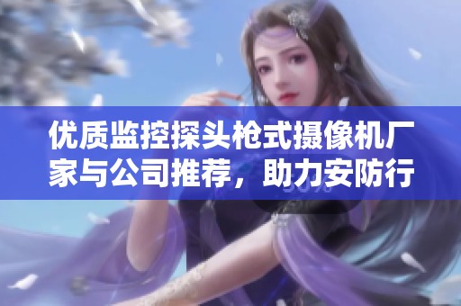 优质监控探头枪式摄像机厂家与公司推荐，助力安防行业发展