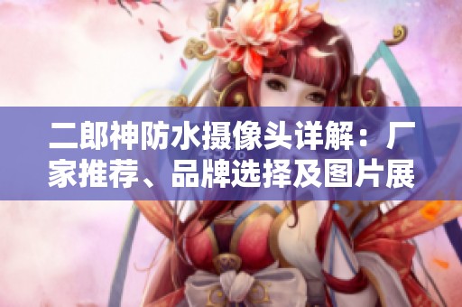 二郎神防水摄像头详解：厂家推荐、品牌选择及图片展示