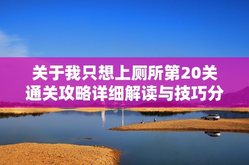 关于我只想上厕所第20关通关攻略详细解读与技巧分享
