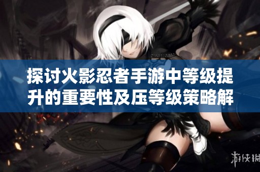 探讨火影忍者手游中等级提升的重要性及压等级策略解析