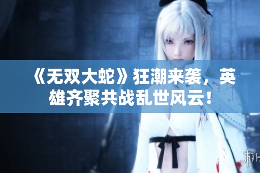 《无双大蛇》狂潮来袭，英雄齐聚共战乱世风云！