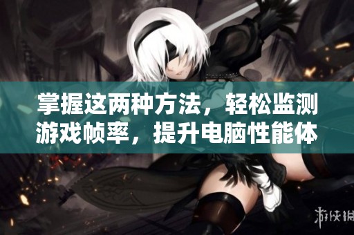 掌握这两种方法，轻松监测游戏帧率，提升电脑性能体验