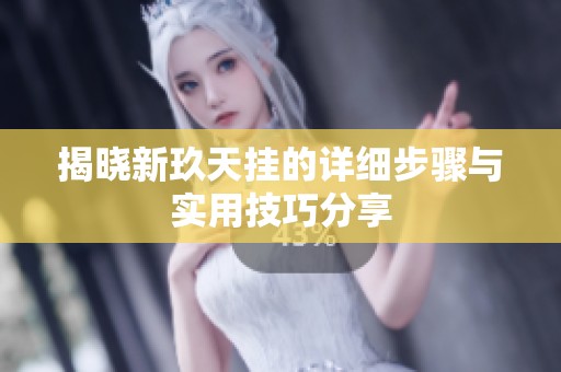揭晓新玖天挂的详细步骤与实用技巧分享