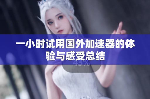 一小时试用国外加速器的体验与感受总结