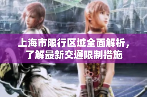 上海市限行区域全面解析，了解最新交通限制措施
