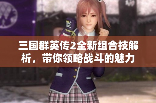 三国群英传2全新组合技解析，带你领略战斗的魅力